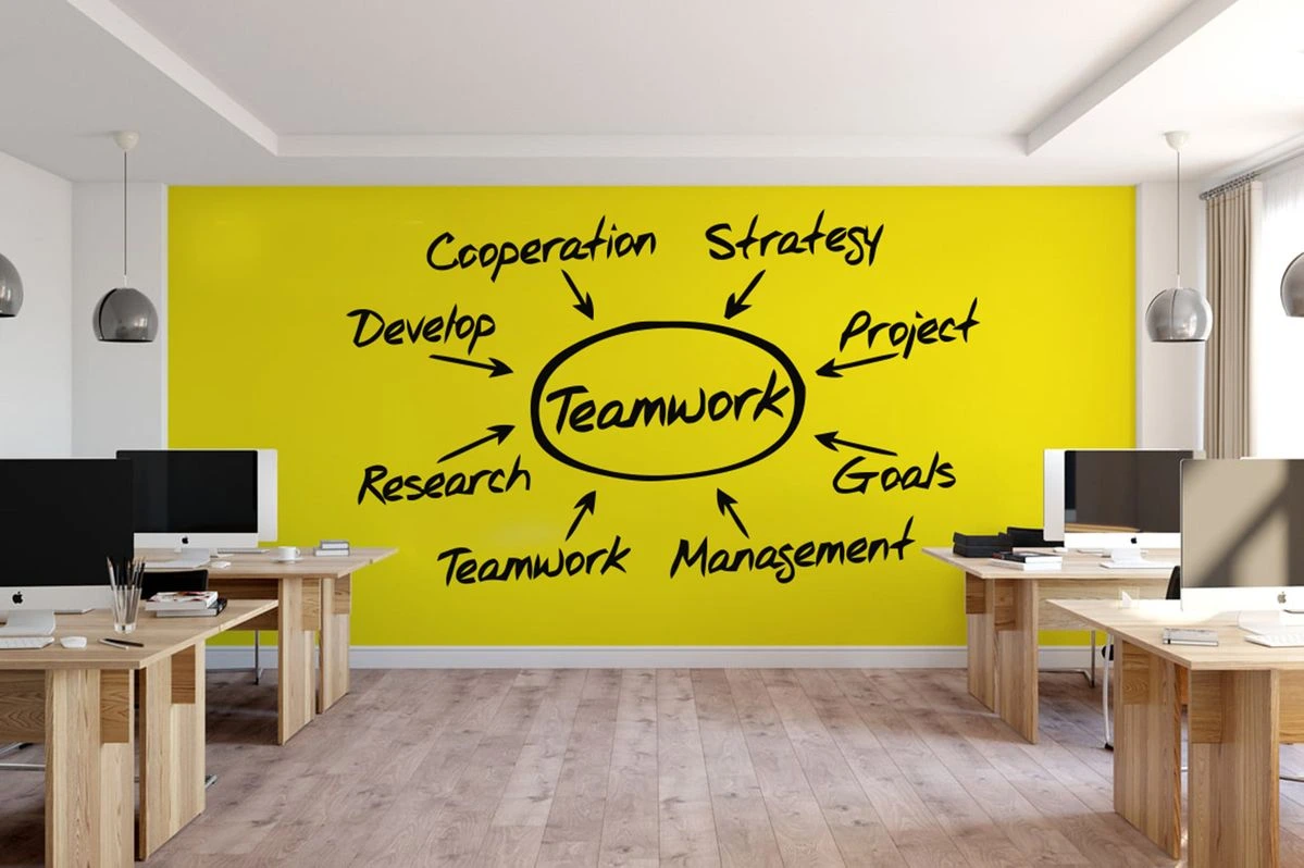 FBN Mitgliedschaft & Networking