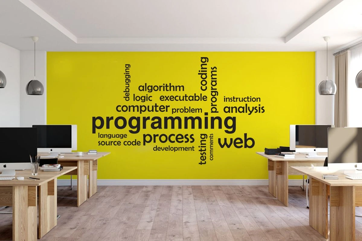 Web- und App-Entwicklung